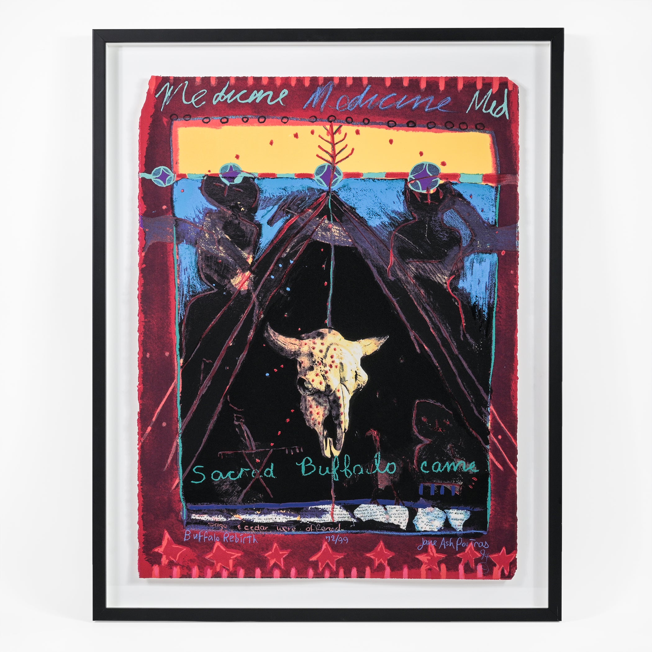 Buffalo Rebirth - Limited Edition Framed Print – Lattimer Gallery