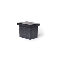 Raven, Bear, and Salmon - Argillite Box