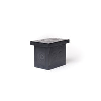 Raven, Bear, and Salmon - Argillite Box