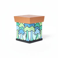 Gwayakwaadiziwin (Honesty) - 2025 Charity Box