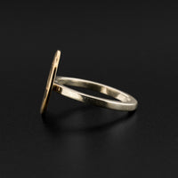 Raven and Light - Silver and 14k Gold Ring
