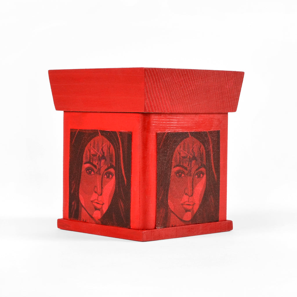 Murdered and Missing Indigenous Women - 2019 Charity Box
