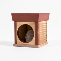 Climate Justice - 2022 Charity Box
