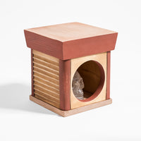 Climate Justice - 2022 Charity Box