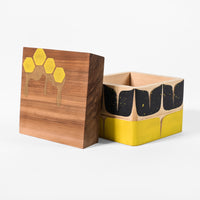 Beehive - Cedar Bentwood Box