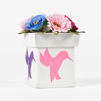 Nomas - 2020 Charity Box