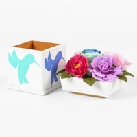 Nomas - 2020 Charity Box