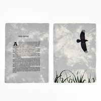 Raven - Limited Edition Print