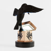 Raven Gives Light - 2021 Charity Box
