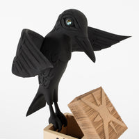 Raven Gives Light - 2021 Charity Box