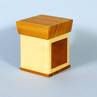 Aaron Nelson-Moody - Glimpse - Charity Boxes 2011