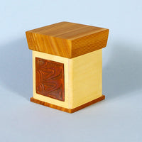 Aaron Nelson-Moody - Glimpse - Charity Boxes 2011