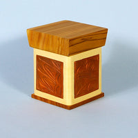 Aaron Nelson-Moody - Glimpse - Charity Boxes 2011