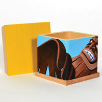 Shawn Hunt - Eagle - Charity Boxes 2014