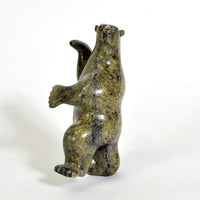 Tim Pee - Black Bear - Inuit