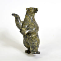 Tim Pee - Black Bear - Inuit