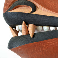 Nathan Wilson - The Grizz Who Looked Back at Me - Masks