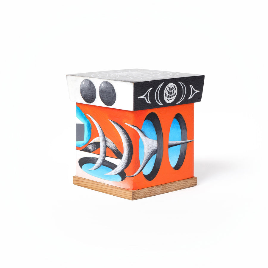 Held Within, Outside the Simulation  - 2025 Charity Box