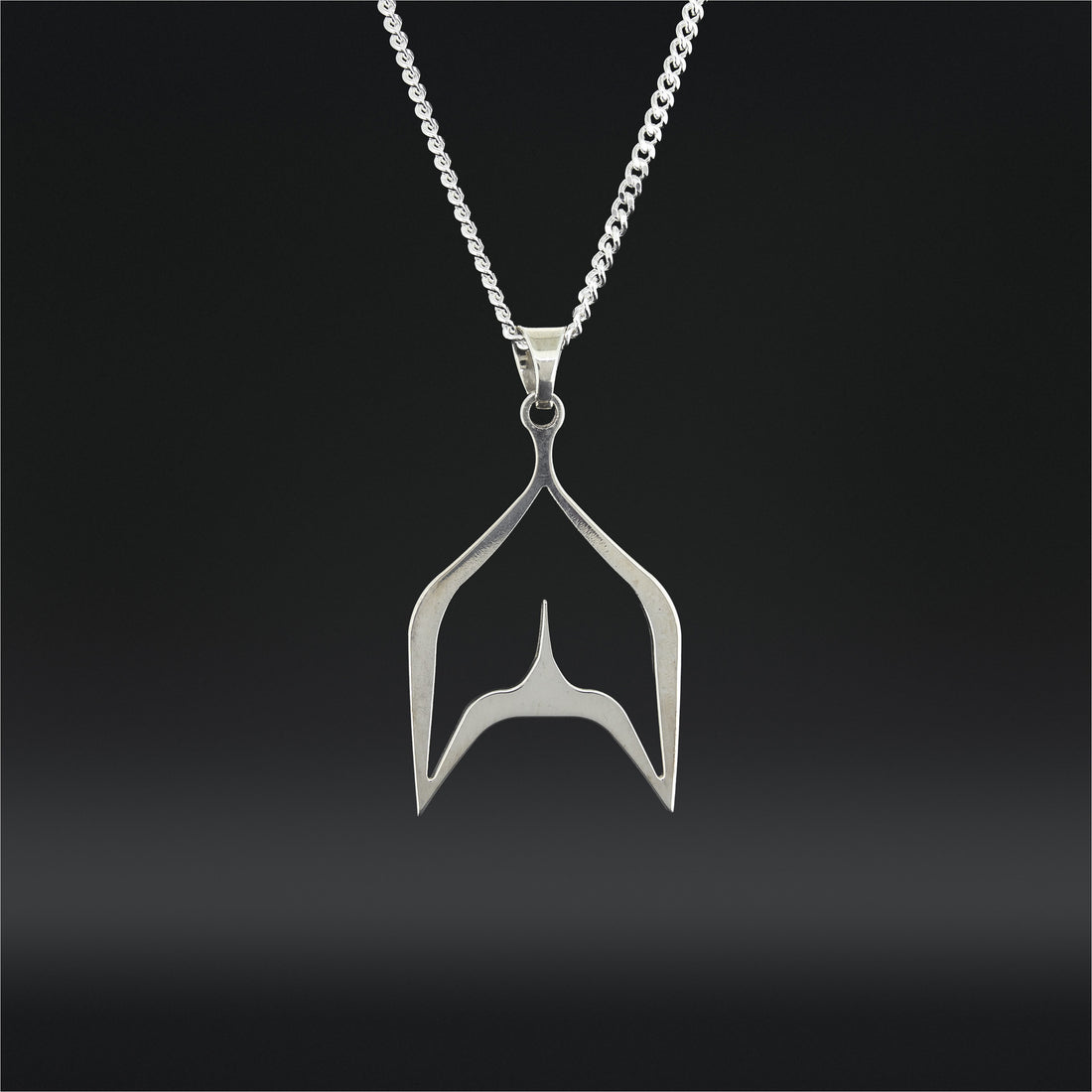 Killerwhale - Silver Pendant
