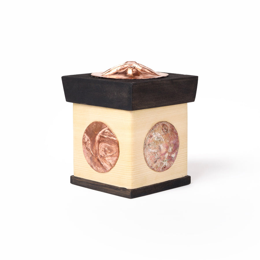 Moon Teasing the Sun with Eclipse - 2025 Charity Box