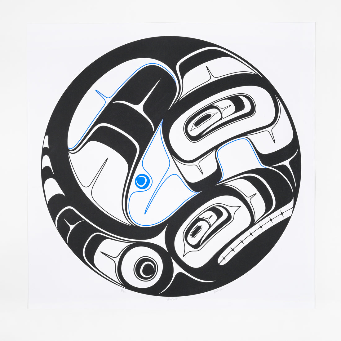 Blackfish - Limited Edition Print