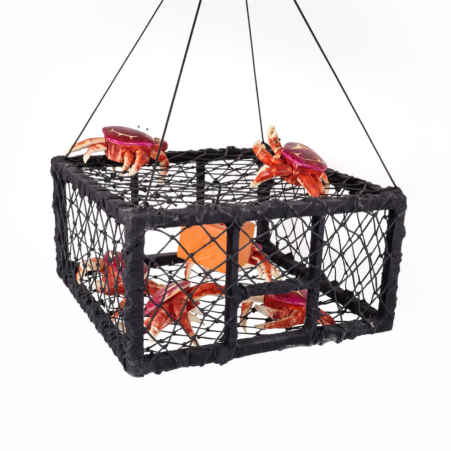Crab Trap - 2025 Charity Box