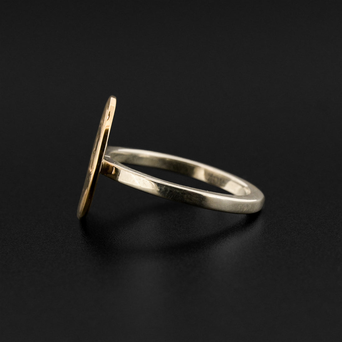 Raven and Light - Silver and 14k Gold Ring