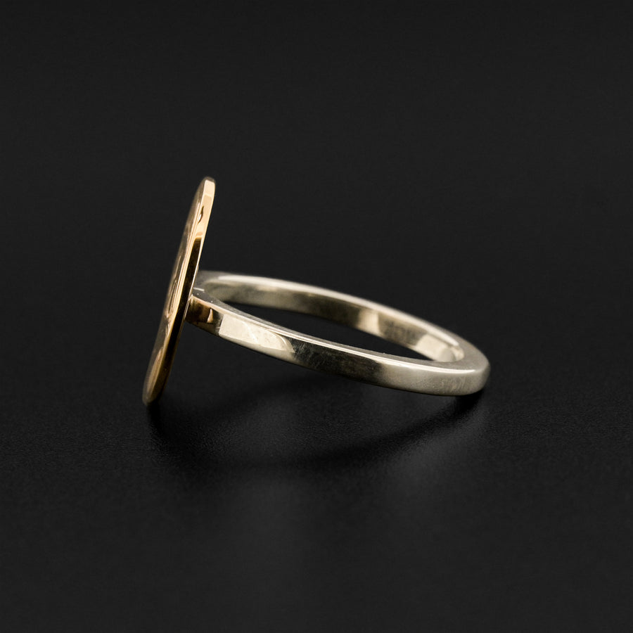 Raven and Light - Silver and 14k Gold Ring