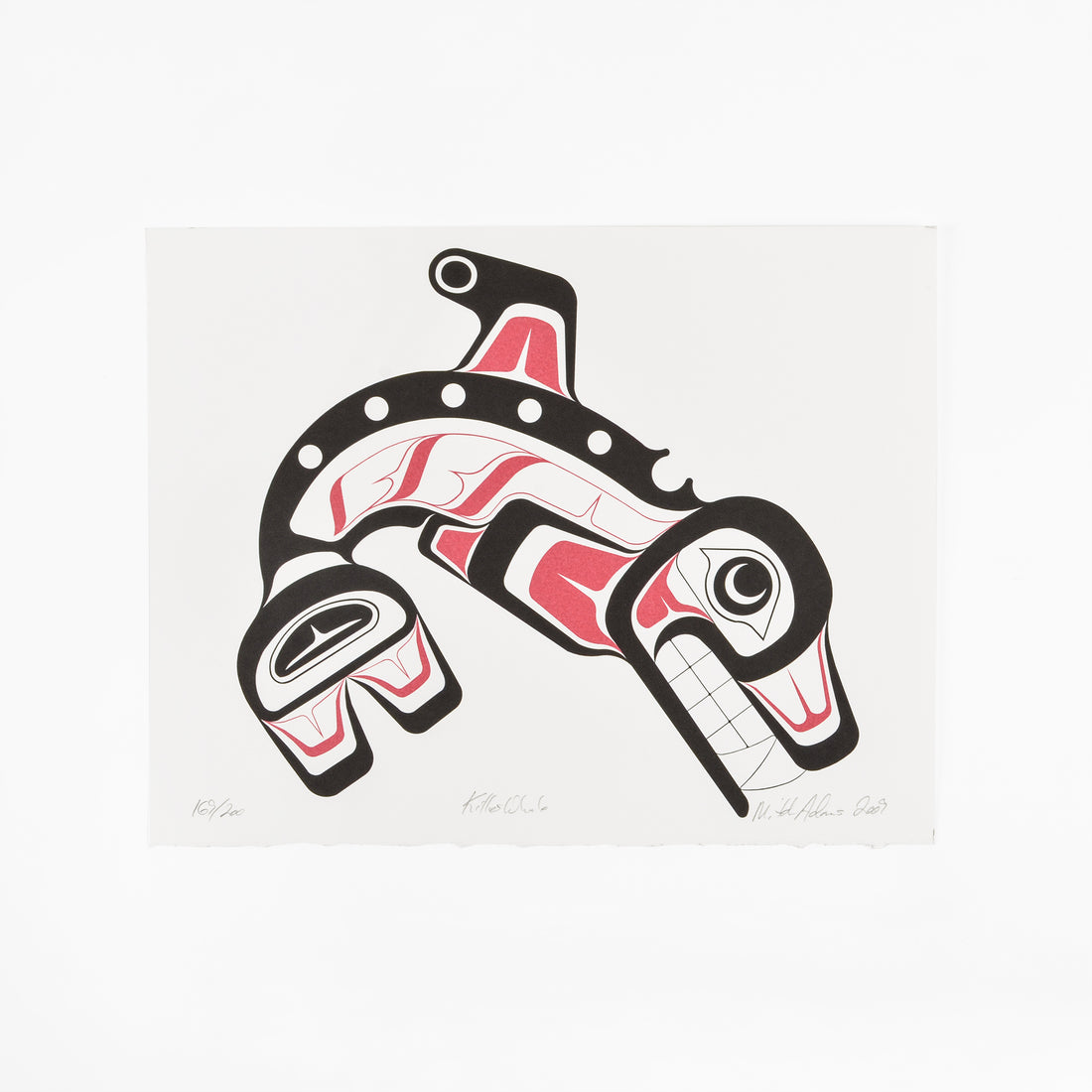 Killerwhale - Limited Edition Print