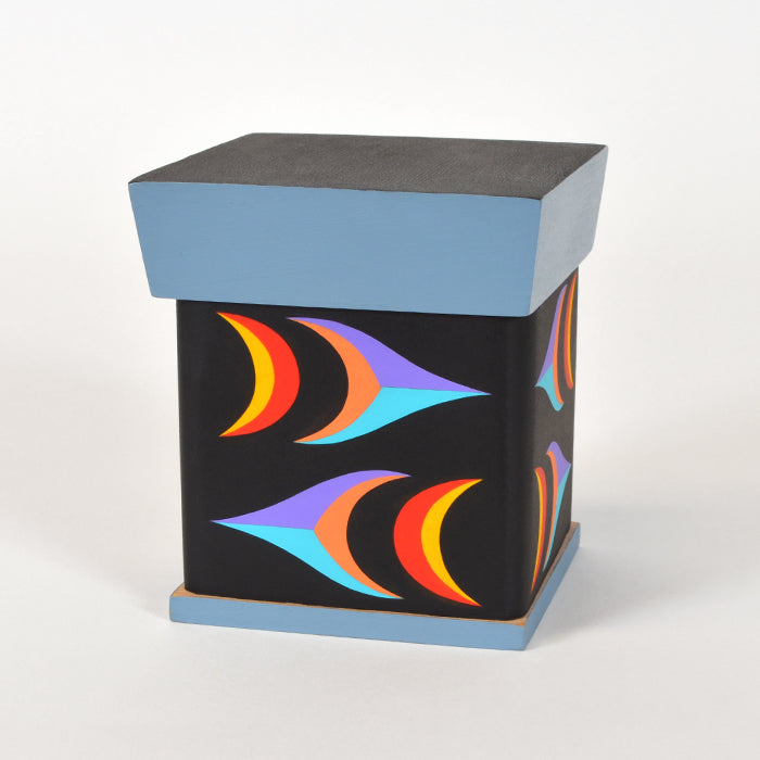 Box of Salish Elements - 2018 Charity Box