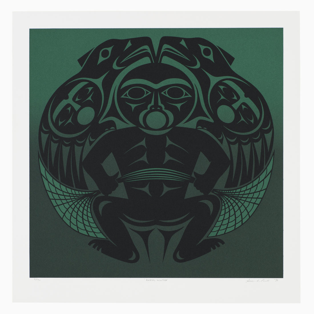 Aerial Hunter - Limited Edition Print