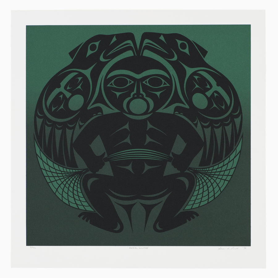 Aerial Hunter - Limited Edition Print