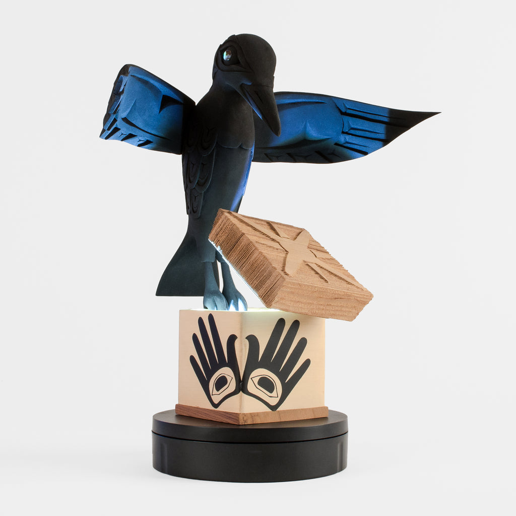 Raven Gives Light - 2021 Charity Box