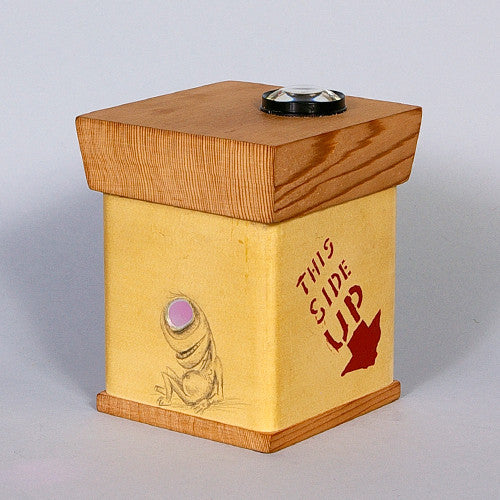 Gwaai Edenshaw - This Side Up (kaleidoscope) - Charity Boxes 2011