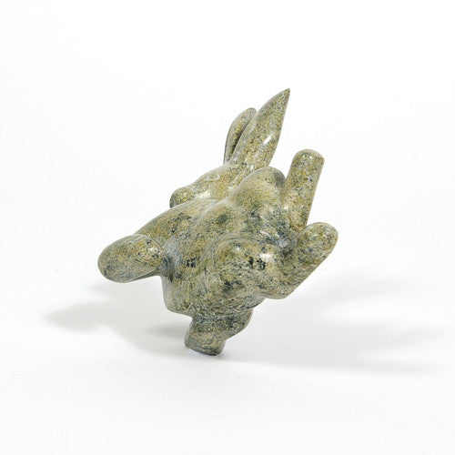 Pitseolak Ositsiak - Arctic Hare - Inuit