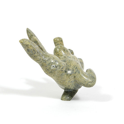 Pitseolak Ositsiak - Arctic Hare - Inuit